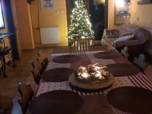 Prodej ubytování, Pluhův Žďár, 380 m2