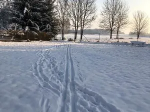 Prodej ubytování, Pluhův Žďár, 380 m2