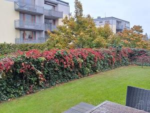 Pronájem bytu 2+kk, Praha - Zličín, Vřesovická, 54 m2