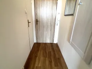 Pronájem bytu 1+1, Plzeň, Heyrovského, 39 m2