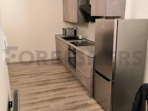 Pronájem bytu 1+kk, Brno, Stavební, 32 m2