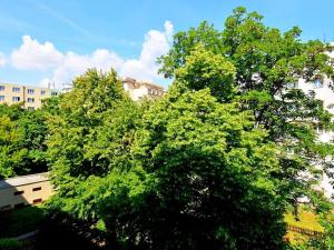 Pronájem bytu 1+kk, Praha - Vršovice, Přípotoční, 25 m2