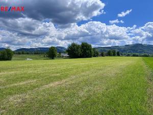Prodej pole, Raškovice, 10509 m2