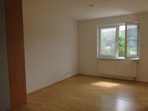 Pronájem bytu 1+kk, Písek, Za Pazdernou, 40 m2