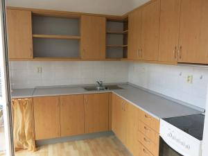 Pronájem bytu 1+kk, Písek, Za Pazdernou, 40 m2