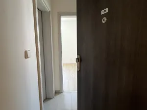 Pronájem bytu 1+kk, Brno, Mathonova, 23 m2