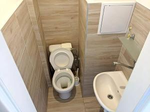 Pronájem bytu 1+kk, Opava, Haškova, 18 m2