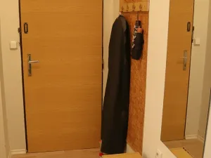 Pronájem bytu 1+kk, Benešov, Čechova, 33 m2