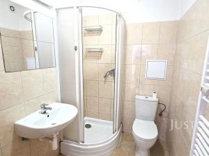 Pronájem bytu 2+1, Písek, Ningrova, 50 m2