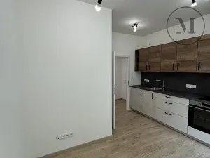 Pronájem bytu 1+kk, Dívčice, 20 m2