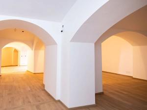 Pronájem obchodního prostoru, Praha - Nové Město, Truhlářská, 379 m2