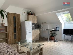 Pronájem bytu 1+kk, Bratrušov, 24 m2
