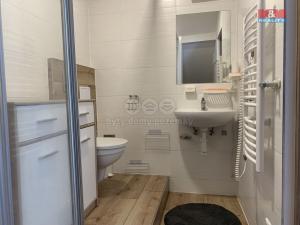 Pronájem bytu 1+kk, Bratrušov, 24 m2