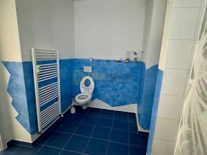 Pronájem bytu 1+kk, Valašské Klobouky, Brumovská, 45 m2