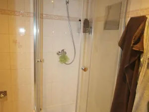 Pronájem bytu 1+kk, Plzeň, Dvořákova, 25 m2