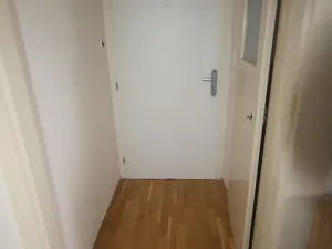 Pronájem bytu 1+kk, Plzeň, Dvořákova, 25 m2