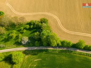 Prodej pole, Mikulovice - Kolnovice, 842 m2