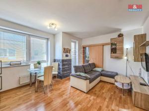 Prodej bytu 2+kk, Strakonice - Strakonice I, Jezerní, 60 m2