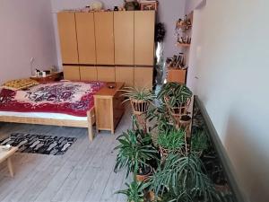 Prodej bytu 2+kk, Dvůr Králové nad Labem, Havlíčkova, 67 m2