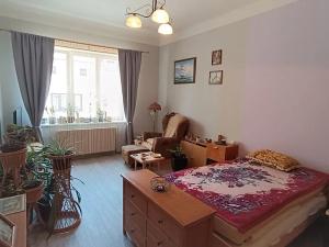 Prodej bytu 2+kk, Dvůr Králové nad Labem, Havlíčkova, 67 m2