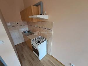 Pronájem bytu 1+kk, Praha - Žižkov, Vlkova, 28 m2