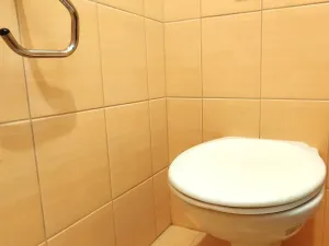 Prodej bytu 1+kk, Orlová, 28 m2