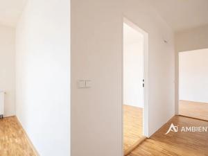 Prodej bytu 6+kk a větší, Brno, Čápkova, 195 m2