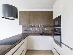 Pronájem bytu 3+kk, Praha - Žižkov, Tetauerova, 92 m2