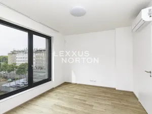 Pronájem bytu 3+kk, Praha - Žižkov, Tetauerova, 92 m2