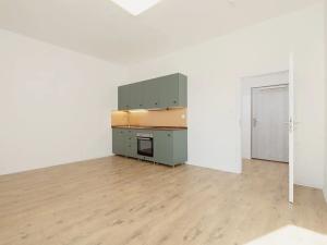 Pronájem bytu 1+kk, Ostrava, Palackého, 28 m2