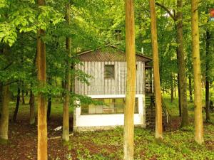 Prodej chaty, Třebechovice pod Orebem - Štěnkov, 37 m2