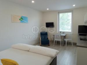 Pronájem bytu 1+kk, Frýdek-Místek - Frýdek, Růžový pahorek, 30 m2
