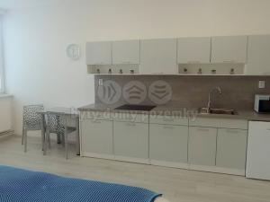 Pronájem bytu 1+kk, Frýdek-Místek - Frýdek, Růžový pahorek, 31 m2