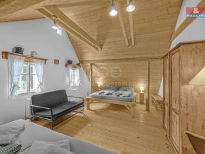 Prodej chalupy, Orlické Záhoří, 250 m2
