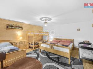 Prodej chalupy, Orlické Záhoří, 250 m2