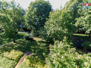 Pronájem bytu 2+kk, Praha - Dejvice, Zikova, 42 m2
