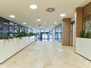 Pronájem kanceláře, Praha - Karlín, Sokolovská, 635 m2