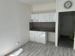 Pronájem bytu 1+kk, Praha - Záběhlice, Mečíková, 25 m2