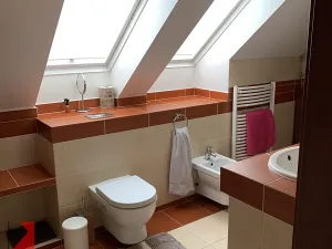 Pronájem rodinného domu, Nelahozeves, Zagarolská, 300 m2