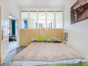 Pronájem bytu 1+1, Plzeň, Denisovo nábřeží, 56 m2