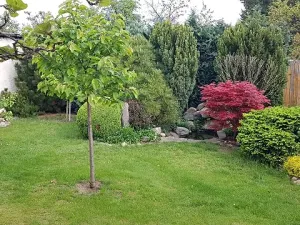 Pronájem bytu 2+kk, Židlochovice, Tyršova, 48 m2
