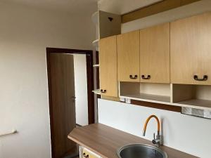 Pronájem bytu 2+1, České Budějovice, M. Horákové, 50 m2