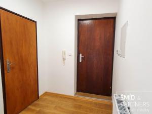 Pronájem bytu 1+kk, Mladá Boleslav - Mladá Boleslav II, Havlíčkova, 27 m2