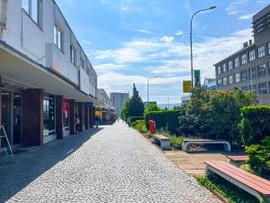 Pronájem obchodního prostoru, Mladá Boleslav, třída T. G. Masaryka, 100 m2