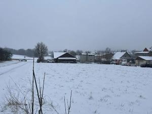Dražba pozemku pro bydlení, Sedliště, 1650 m2