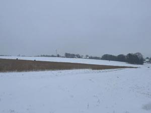Dražba pozemku pro bydlení, Sedliště, 1650 m2