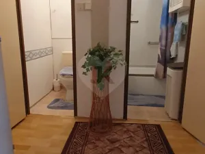 Pronájem bytu 2+kk, Teplice, Arbesova, 47 m2