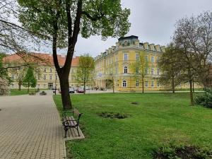 Pronájem bytu 2+kk, Teplice, Arbesova, 47 m2