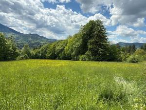 Prodej pozemku, Ostravice, 2671 m2
