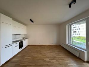 Pronájem bytu 1+kk, Praha - Vysočany, Fafkových, 36 m2